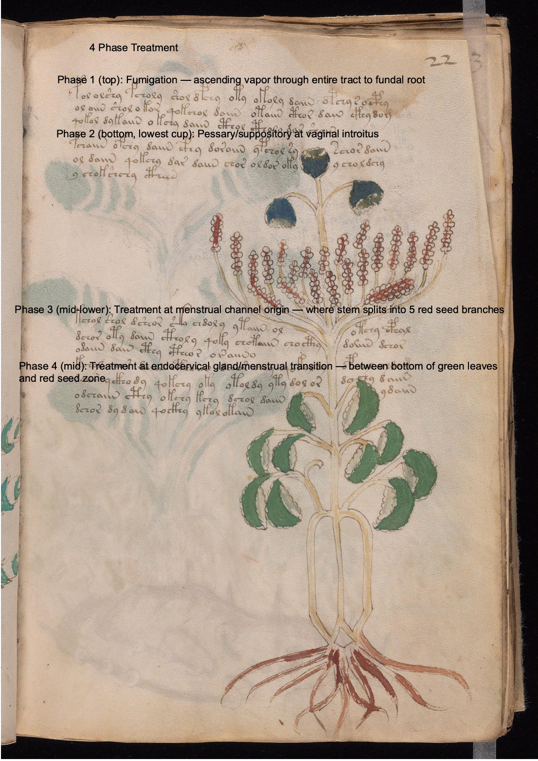 Secondary labelled diagram of Folio 22r